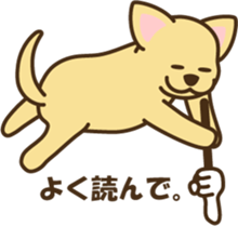 smooth chihuahua sticker #5283565