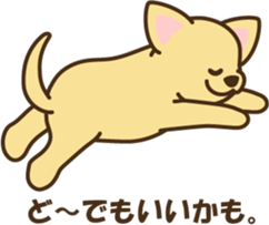 smooth chihuahua sticker #5283566