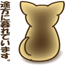 smooth chihuahua sticker #5283570