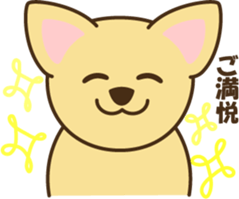 smooth chihuahua sticker #5283574