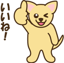 smooth chihuahua sticker #5283576