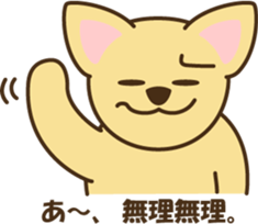 smooth chihuahua sticker #5283578