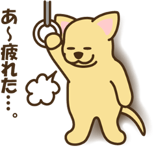 smooth chihuahua sticker #5283586