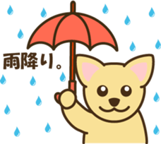 smooth chihuahua sticker #5283590