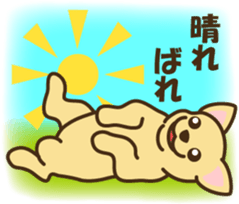 smooth chihuahua sticker #5283591