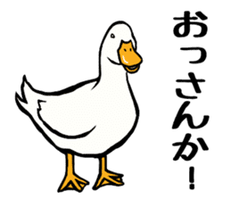 Mr. duck sticker sticker #5286964