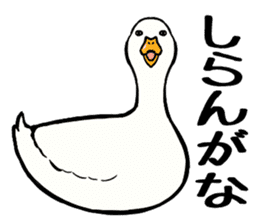 Mr. duck sticker sticker #5286966