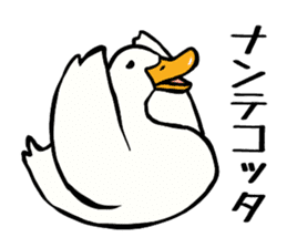 Mr. duck sticker sticker #5286972