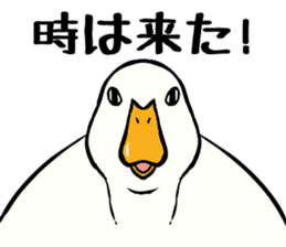 Mr. duck sticker sticker #5286974