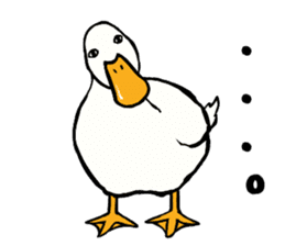Mr. duck sticker sticker #5286976