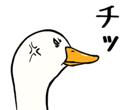 Mr. duck sticker sticker #5286977