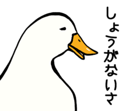 Mr. duck sticker sticker #5286983