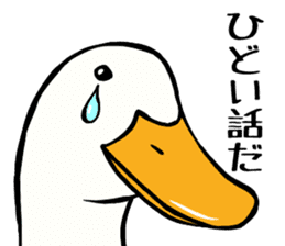 Mr. duck sticker sticker #5286985