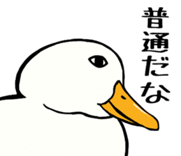 Mr. duck sticker sticker #5286988