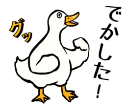 Mr. duck sticker sticker #5286992