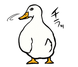 Mr. duck sticker sticker #5286994