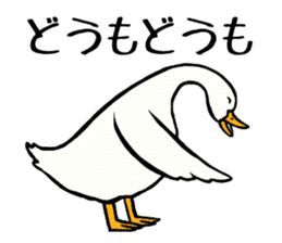Mr. duck sticker sticker #5286997
