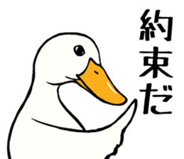 Mr. duck sticker sticker #5286998