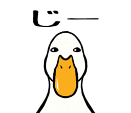 Mr. duck sticker sticker #5287001