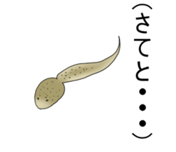 Dark frog sticker #5290124