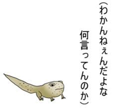 Dark frog sticker #5290125