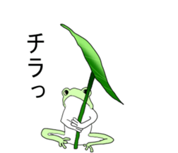 Dark frog sticker #5290137