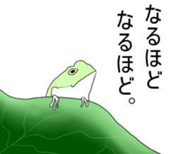 Dark frog sticker #5290149