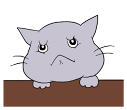 Funny cat 's face sticker #5294454