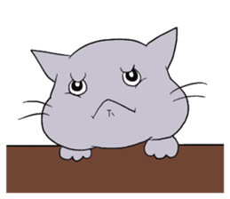 Funny cat 's face sticker #5294454