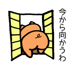 Japan Sticker Kobutachan sticker #5295220