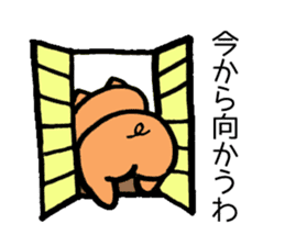 Japan Sticker Kobutachan sticker #5295220