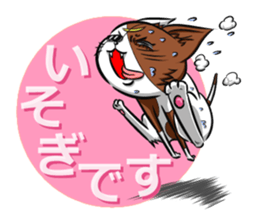 5th Japanese cat living in Sendai sticker #5295276