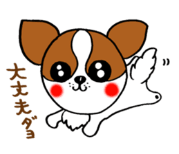 Everyday of chiwawa sticker #5297244