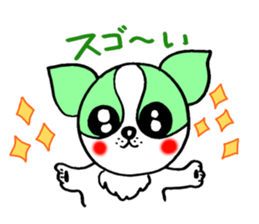 Everyday of chiwawa sticker #5297247