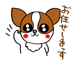 Everyday of chiwawa sticker #5297250