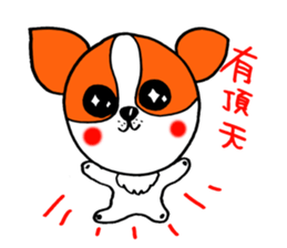 Everyday of chiwawa sticker #5297257