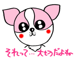Everyday of chiwawa sticker #5297265