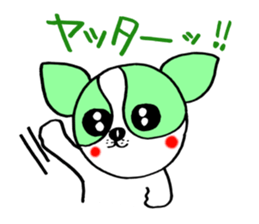 Everyday of chiwawa sticker #5297273