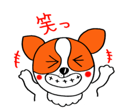 Everyday of chiwawa sticker #5297277