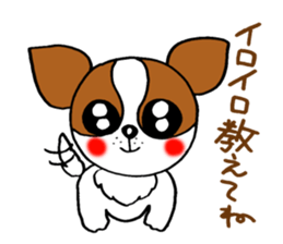Everyday of chiwawa sticker #5297280