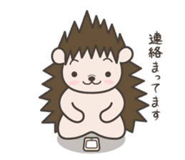 Hedgehog Kurimaru sticker #5297394