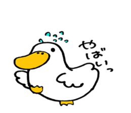 kuku@Duck sticker #5304088