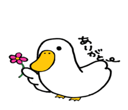 kuku@Duck sticker #5304089