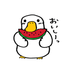 kuku@Duck sticker #5304105
