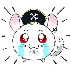 Pirate Chinchilla