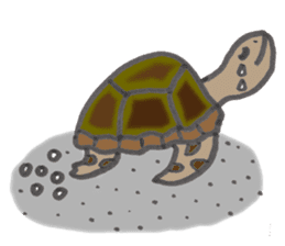 Whale shark & Okinawa sea friends sticker #5308748