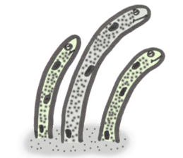 Whale shark & Okinawa sea friends sticker #5308764