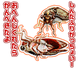 Life of the cicada sticker #5309400