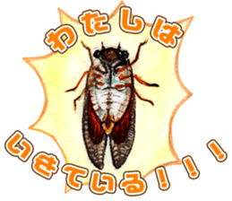 Life of the cicada sticker #5309401