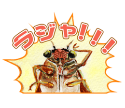 Life of the cicada sticker #5309402